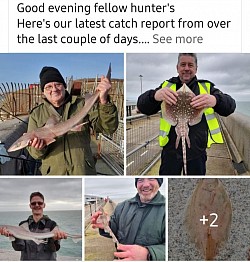Dover angling